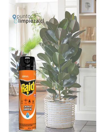 Raid Insecticida Casa y Jardin 360 cc