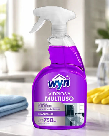 Wyn Limpiador vidrios y multiuso 6 x 750 cc