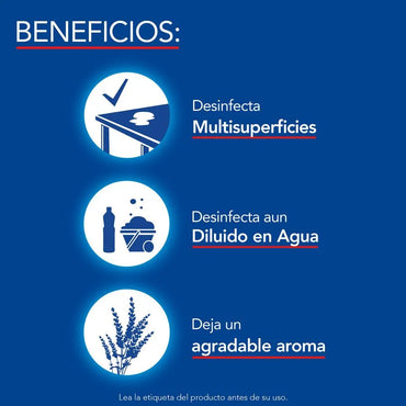 Lysol Limpia pisos Flores de Jardin 900 cc