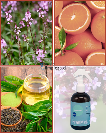 Freemet Aromatizador de ambiente y telas Té Verde y Verbena 3 x 240 cc