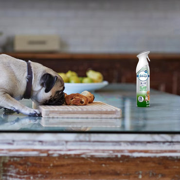 Febreze Eliminador de Olores de Mascota 250 gr