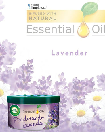 AirWick Desodorante Ambiental en Gel Lavanda 70 gr