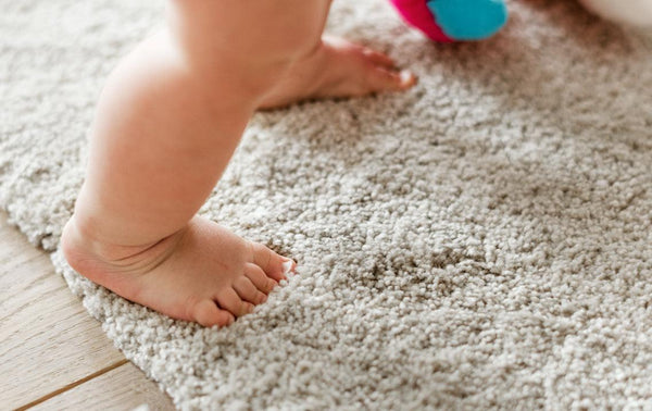 Cómo y cuándo lavar tus alfombras en casa - Puntolimpieza