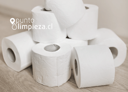 🧻 Todo sobre papel higiénico: cómo elegir el mejor para tu hogar