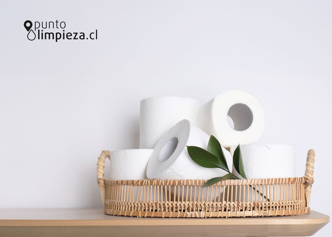 🧻 Aprende a elegir el papel higiénico ideal sin gastar de más
