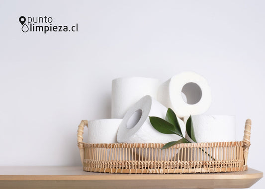 🧻 Aprende a elegir el papel higiénico ideal sin gastar de más