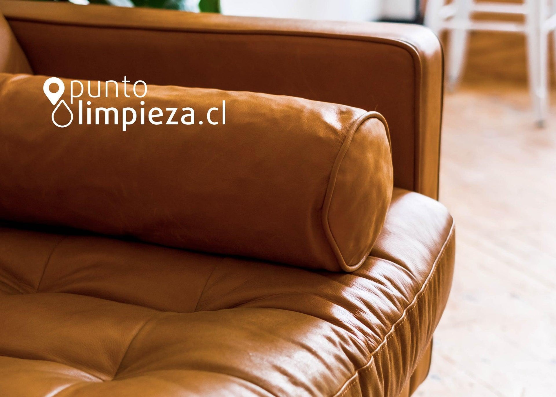 Sillones duraderos: Tips para cuero o cuerina – Puntolimpieza