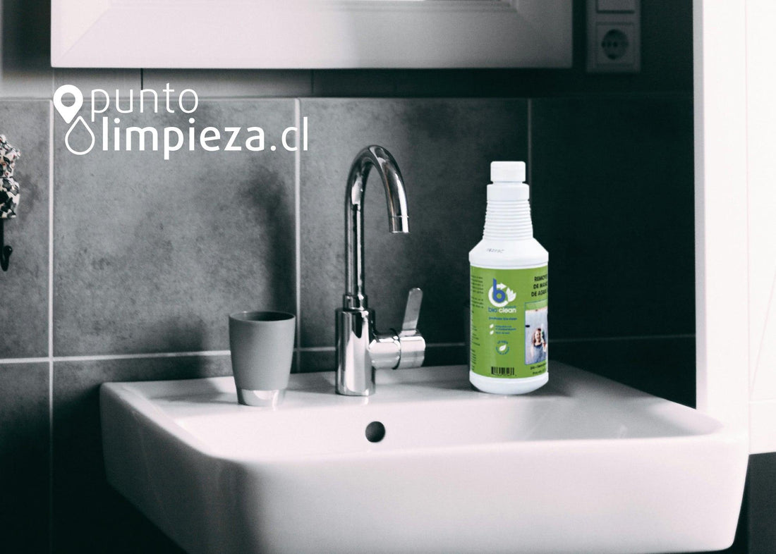 Lo que necesitas y quieres saber sobre Bio Clean - Puntolimpieza