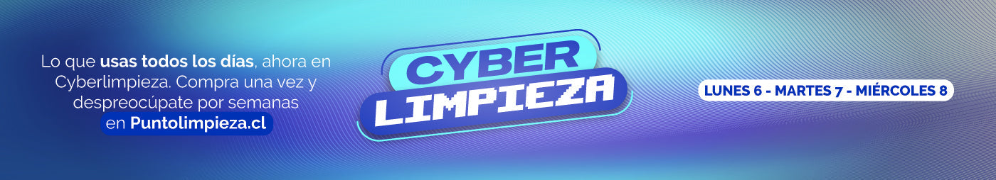 Cyberlimpieza 2025