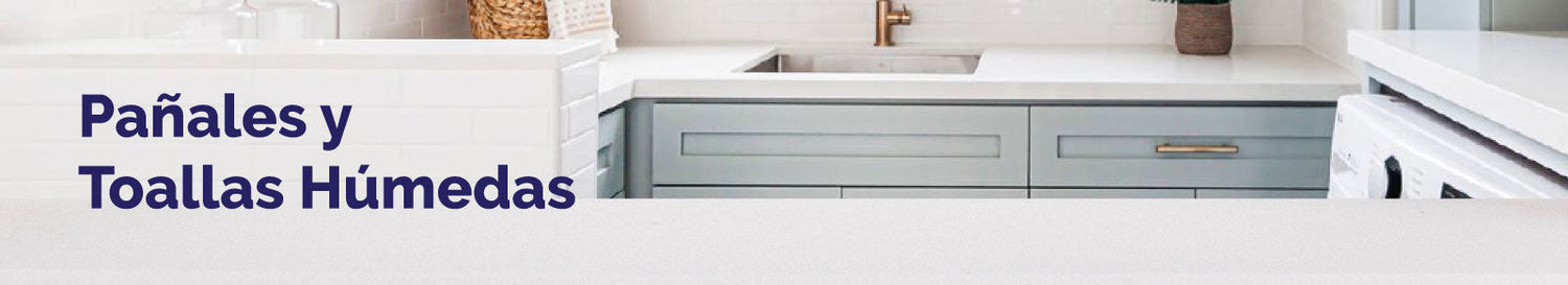 Pañales y Toallas Húmedas