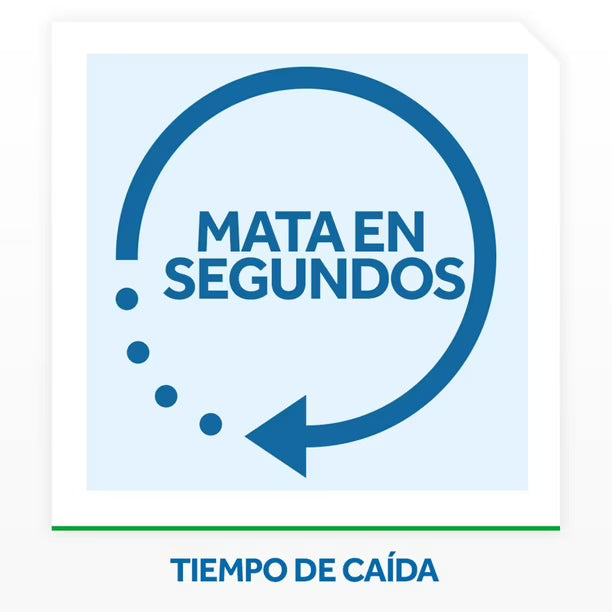 Raid Insecticida Mata Moscas y Mosquitos 360 cc