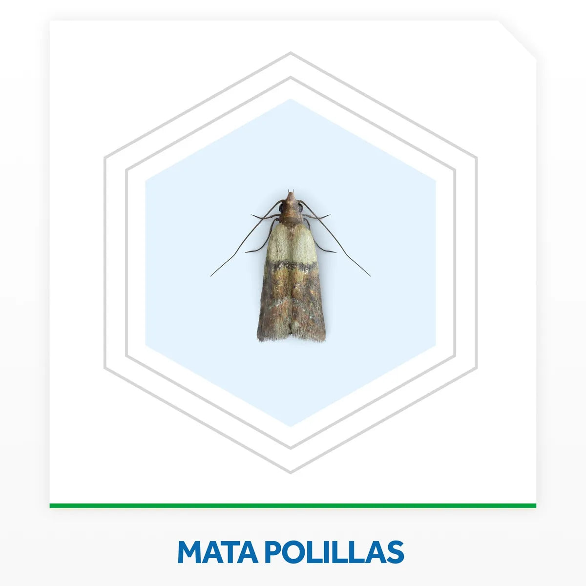 Raid Insecticida Polillas y Larvas 360 cc