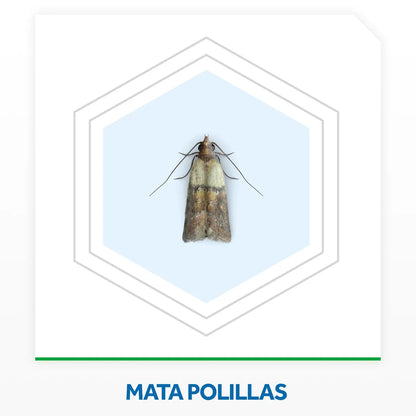 Raid Insecticida Polillas y Larvas 360 cc
