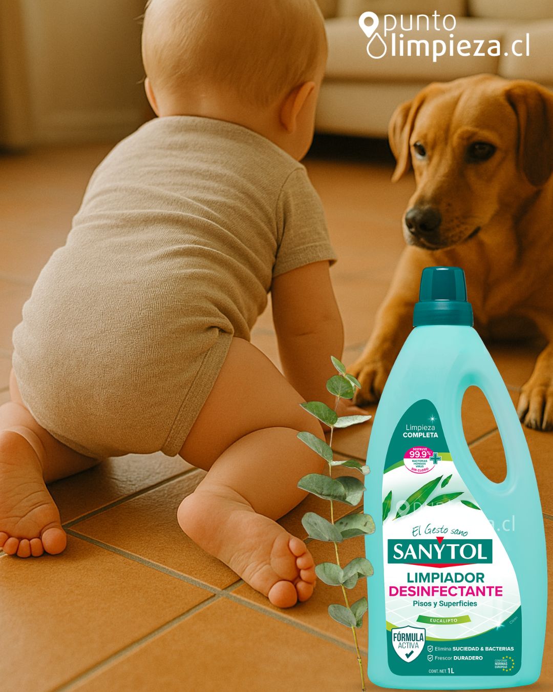 Sanytol Limpiapisos Desinfectante 1 L