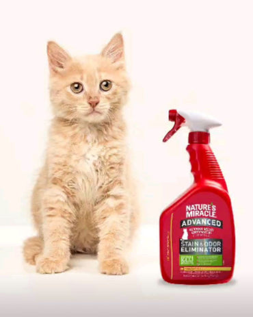 Natures Miracle Eliminador de Manchas y Olores para Gato 946 ml