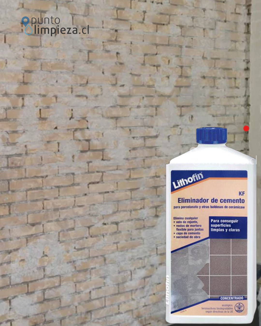 Lithofin KF Eliminador de Cemento 1 L