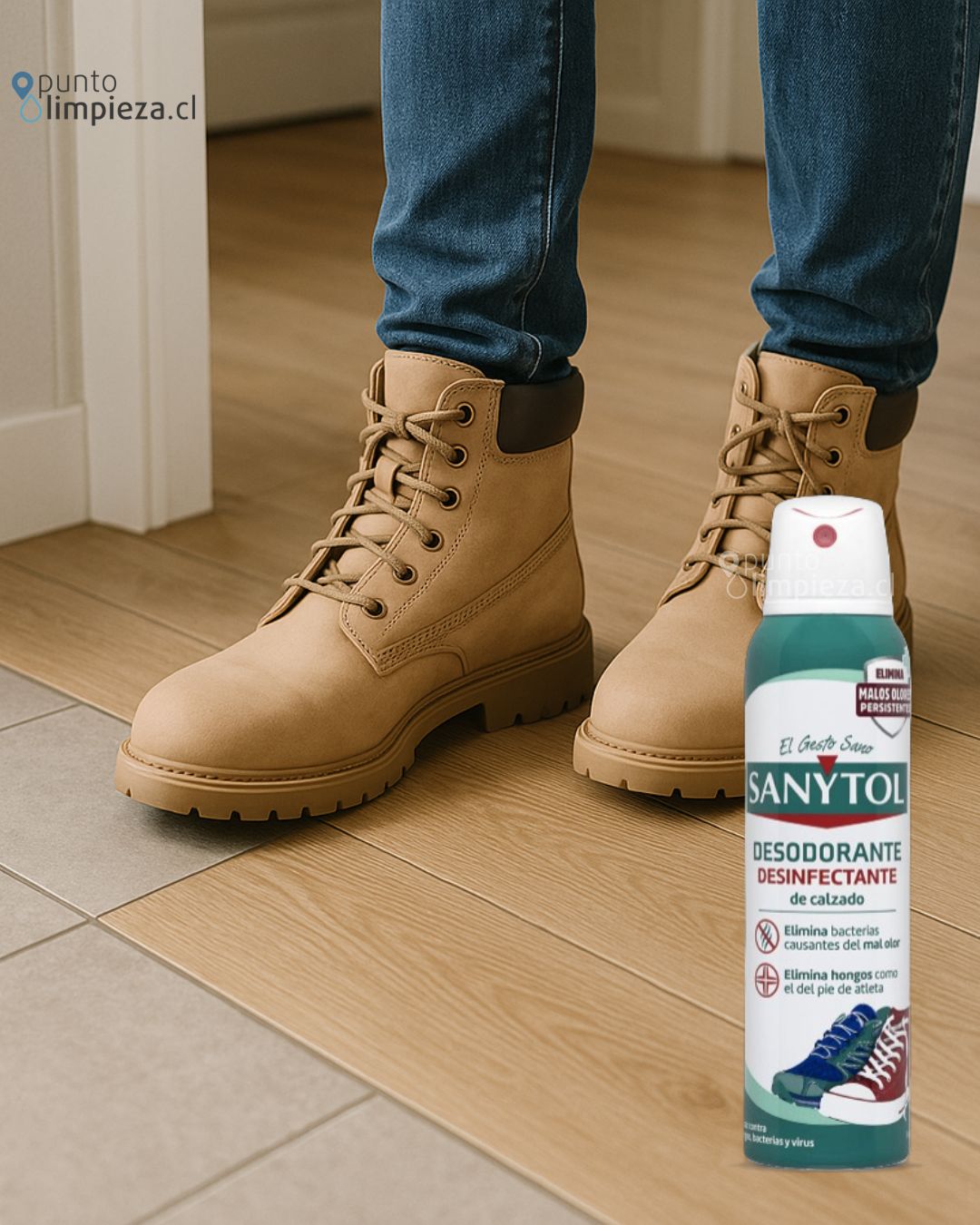 Sanytol Desinfectante de Calzado 150 cc