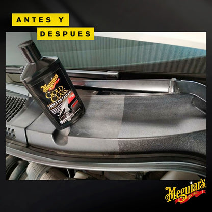 Meguiar's Restaurador de Plástico Trim Detailer 295cc