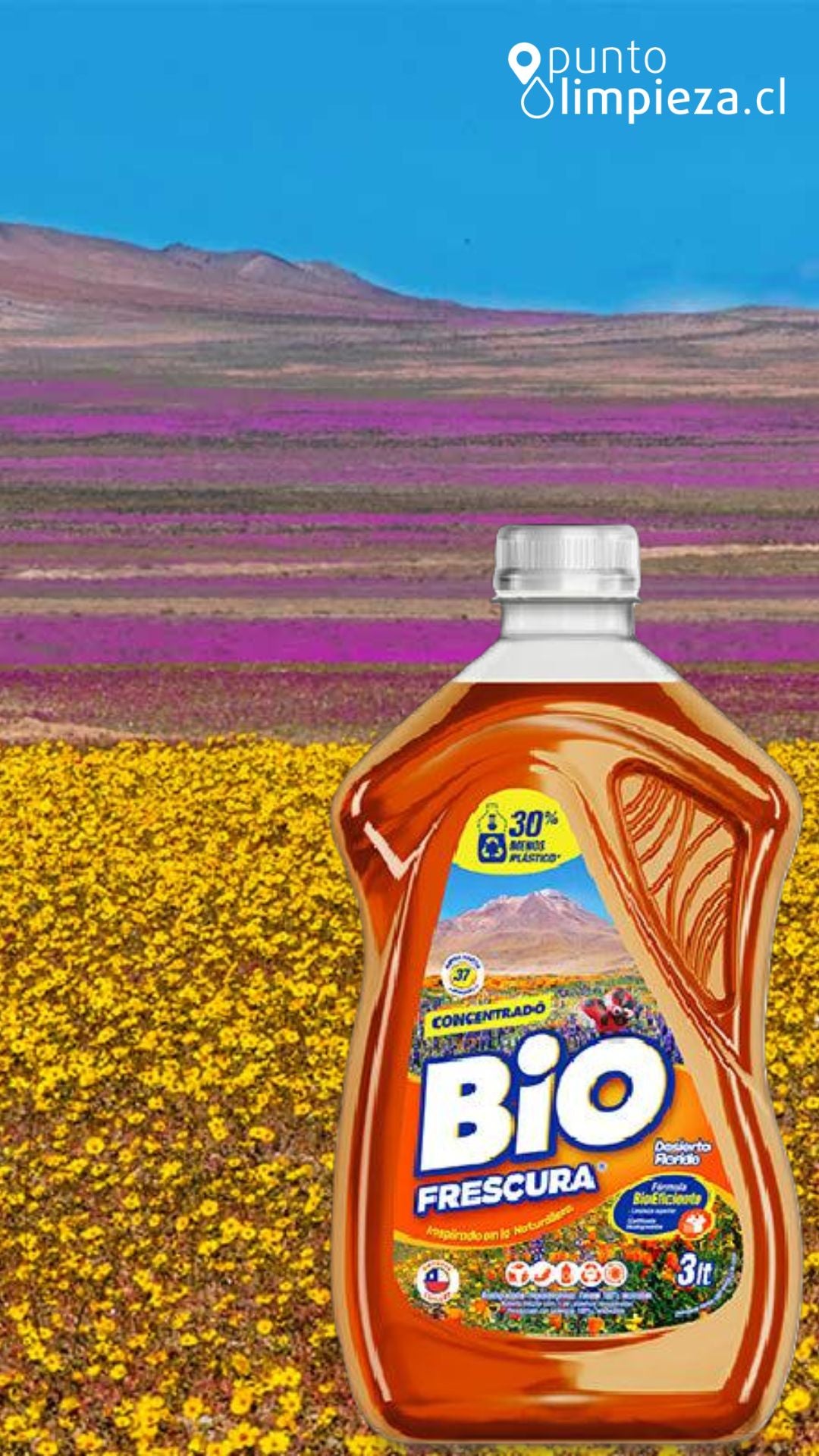 Bio Frescura Detergente Matic liquido Desierto Florido 2 x 3 L