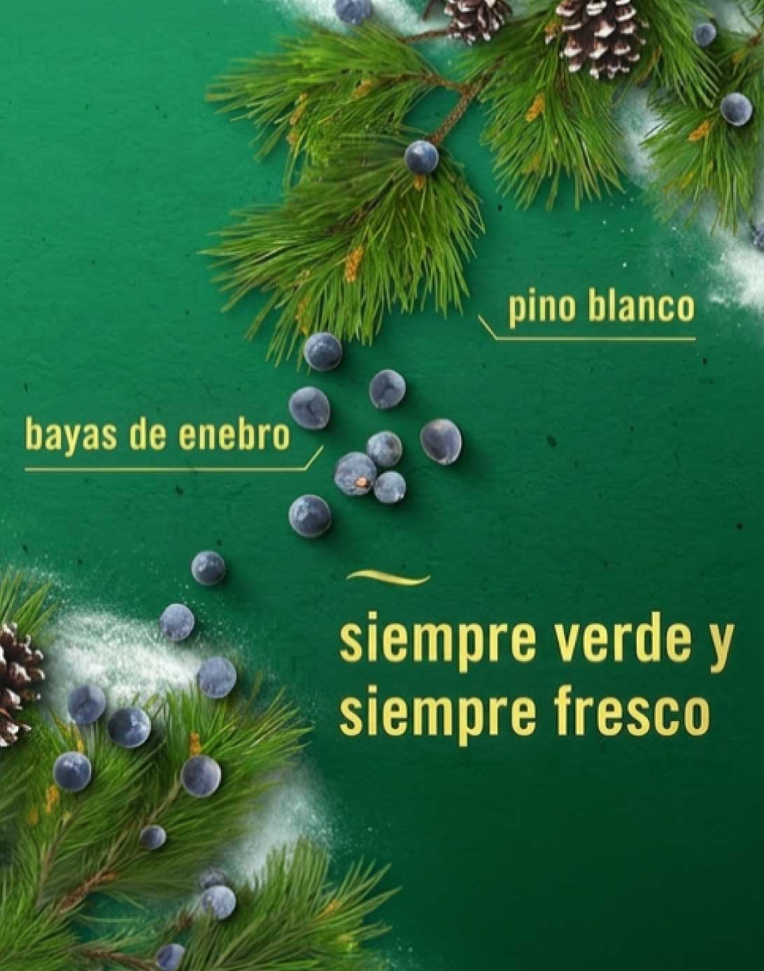 Febreze Eliminador de Olores White Pine & Juniper Berry 250 cc