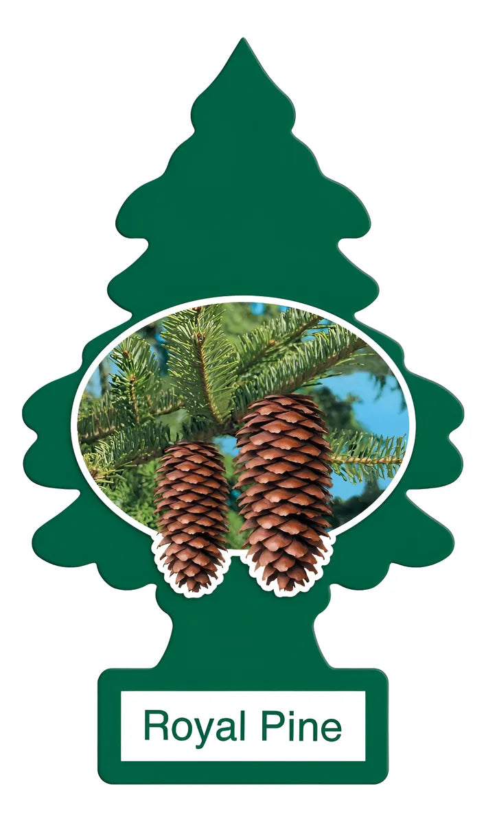 Little Trees Pino Aromatizante Royal Pine 1 unid