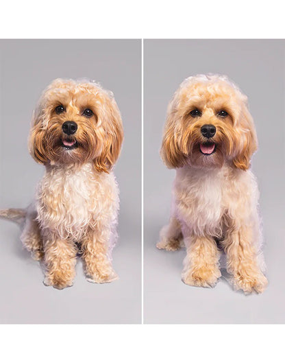 Pet Teezer Cepillo Desenredante para Mascotas Grandes Rosado y Amarillo 1 unid