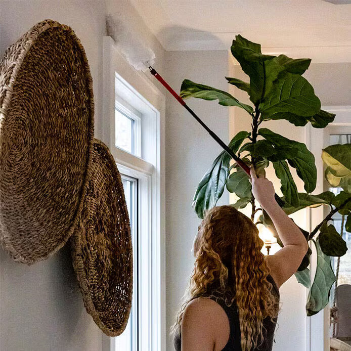 Vileda Repuesto Flex & Catch Plumero 5 unid