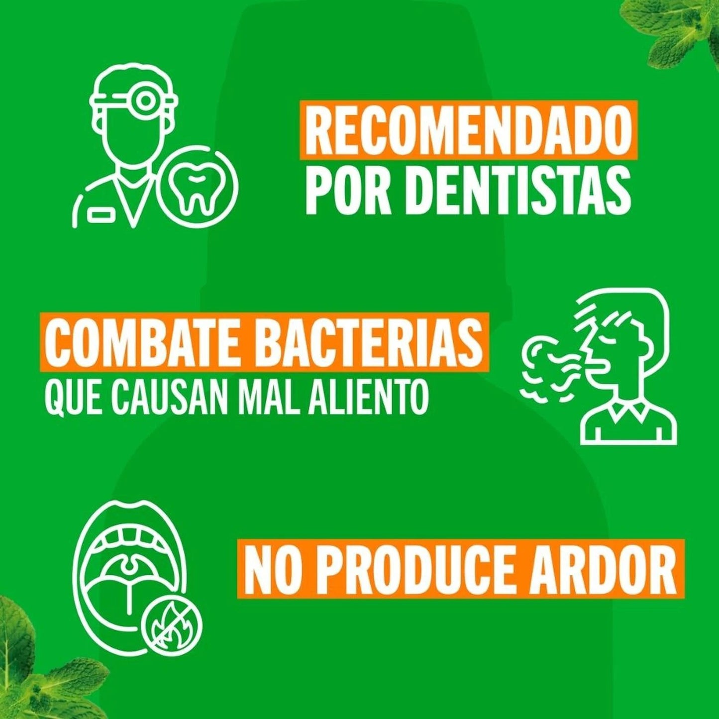 Therabreath Enjuague Bucal Menta Suave 473 ml