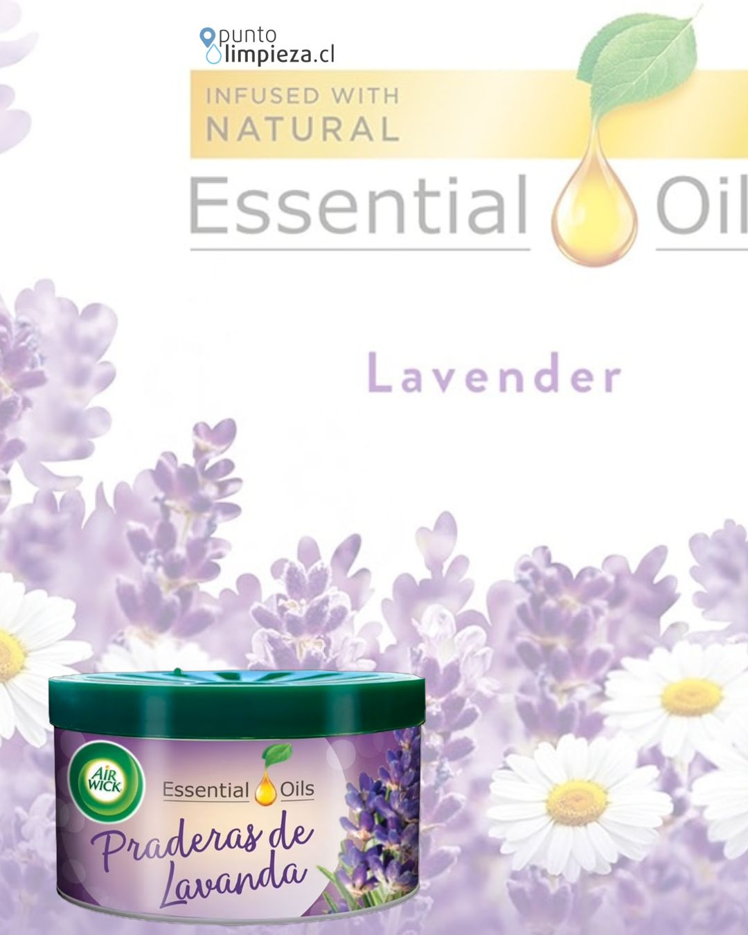 AirWick Desodorante Ambiental en Gel Lavanda 70 gr