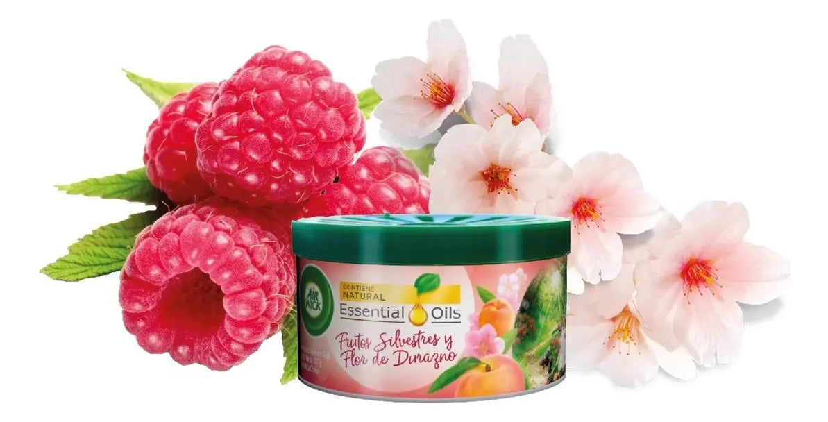 AirWick Desodorante Ambiental en Gel Frutos Silvestres 70 gr