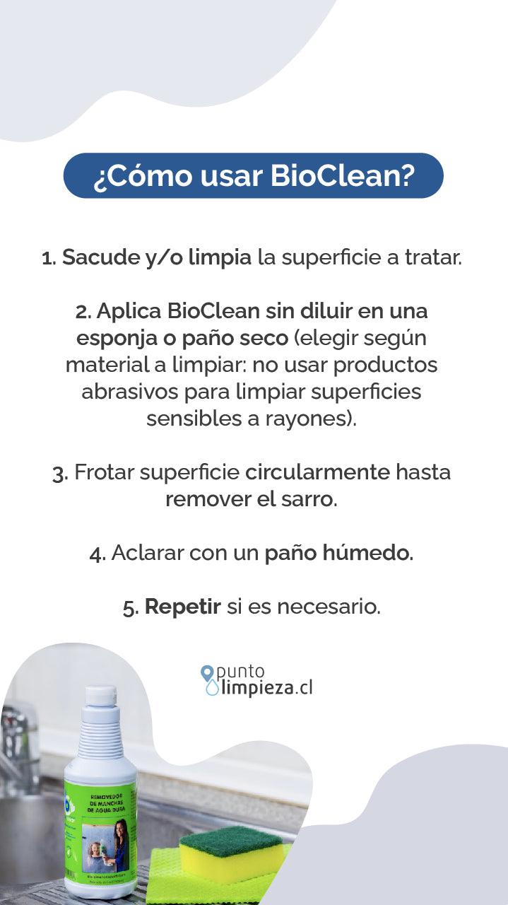 Pack 2 Bio-Clean + Rakso Esponja acero para vidrios y cerámica PACK