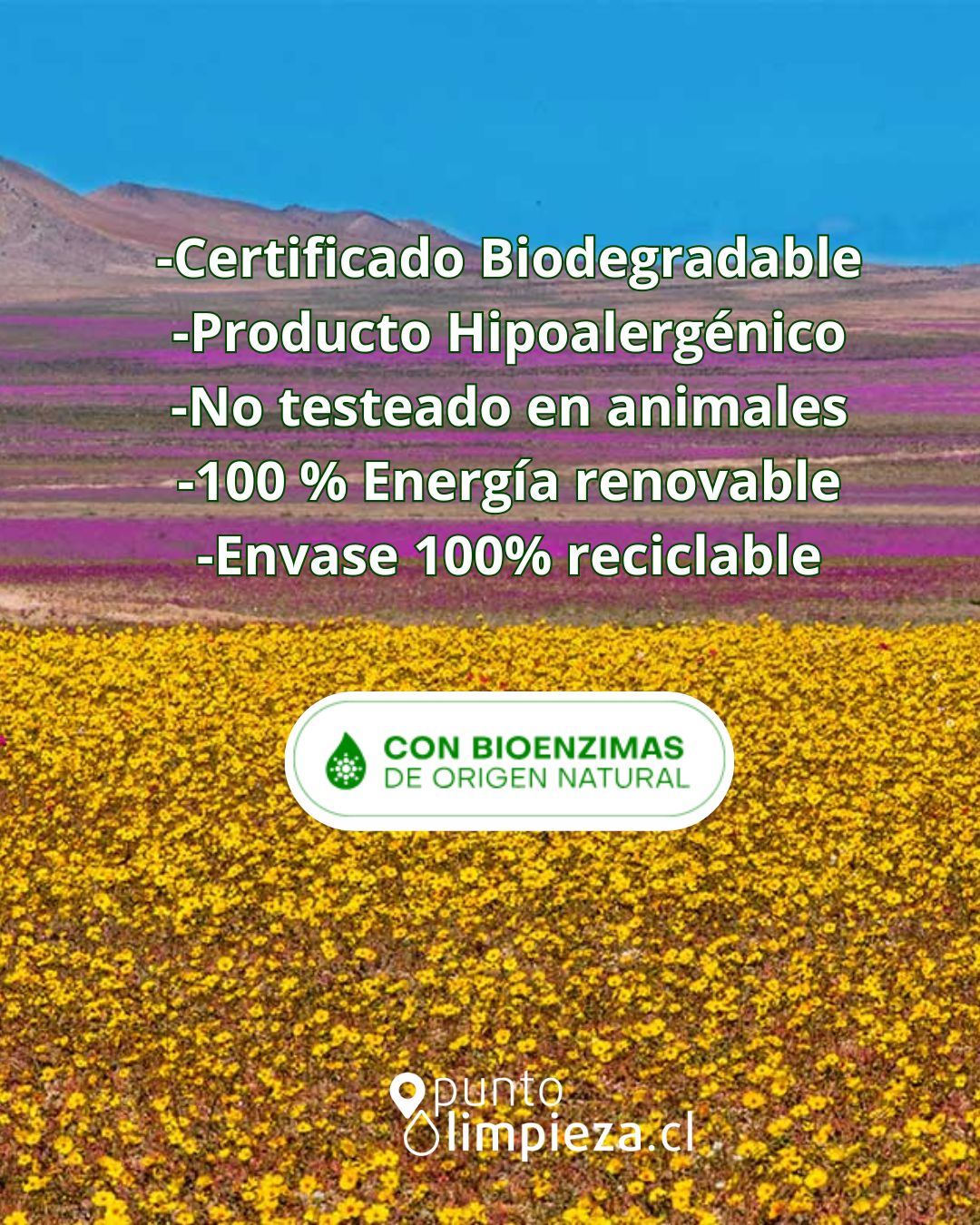 Bio Frescura Detergente Matic liquido Desierto Florido 2 x 3 L