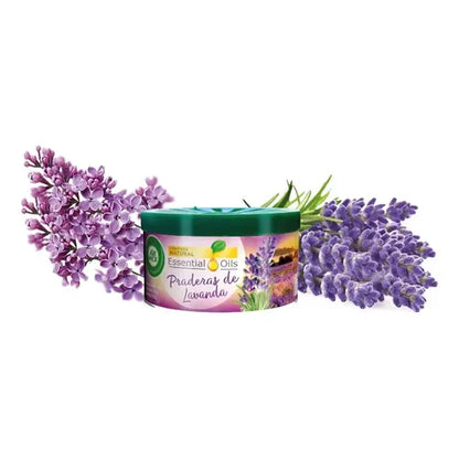 AirWick Desodorante Ambiental en Gel Lavanda 70 gr
