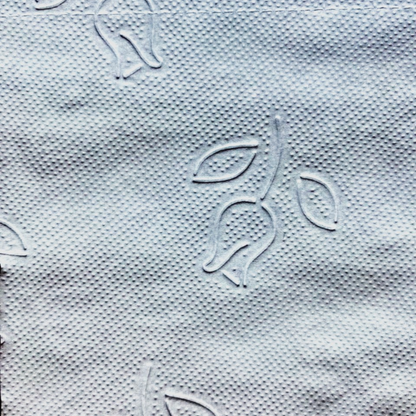 Elite Papel Higienico Doble Hoja 25 metros 1 MANGA - Puntolimpieza