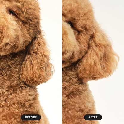 Pet Teezer Cepillo Desenredante para Mascotas Pequeñas Lila y Amarillo 1 unid - Puntolimpieza