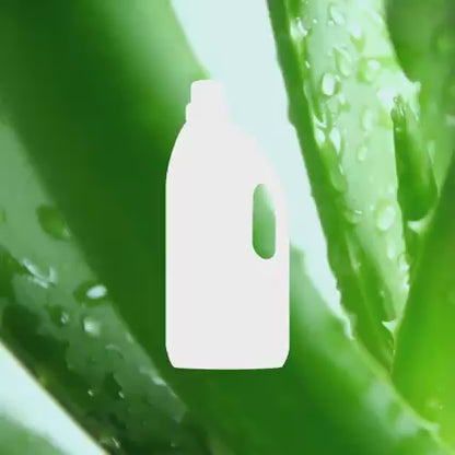 Frosch Detergente concentrado Aloe Vera 1,5 L