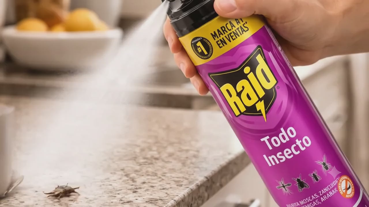 Raid Insecticida Todo Insecto 360 cc | Comprar Online en