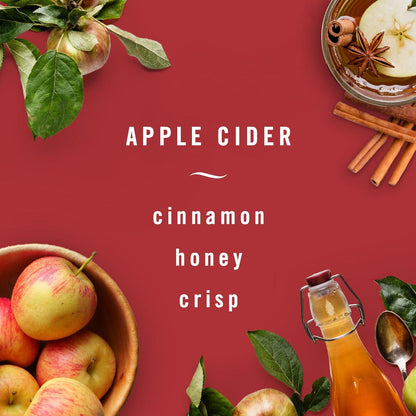 Febreze Eliminador de Olores Apple Cider 250 cc - Puntolimpieza